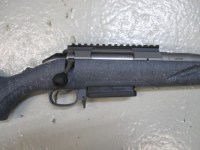Ruger G2 (2)
